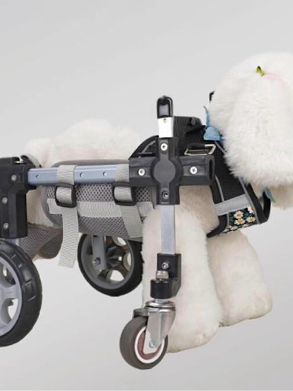 Adjustable Pet Wheelchair Harness with Gray Frame